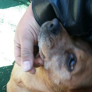 Meet your Posher, Eric